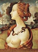 Piero di Cosimo Portrait of Simonetta Vespucci painting